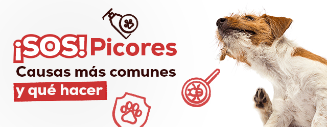 Causas más comunes de los picores y que hacer