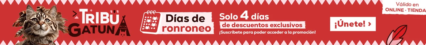 Día de ronroneo: Hasta -20% en pienso y arenas
