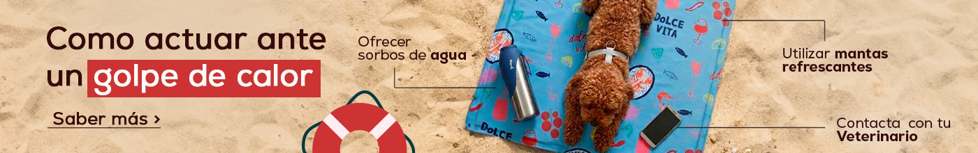 Como actuar ante un golpe de calor