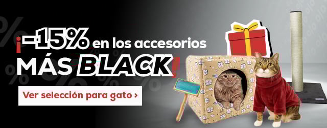 -15% en selección de los accesorios más Black para perro