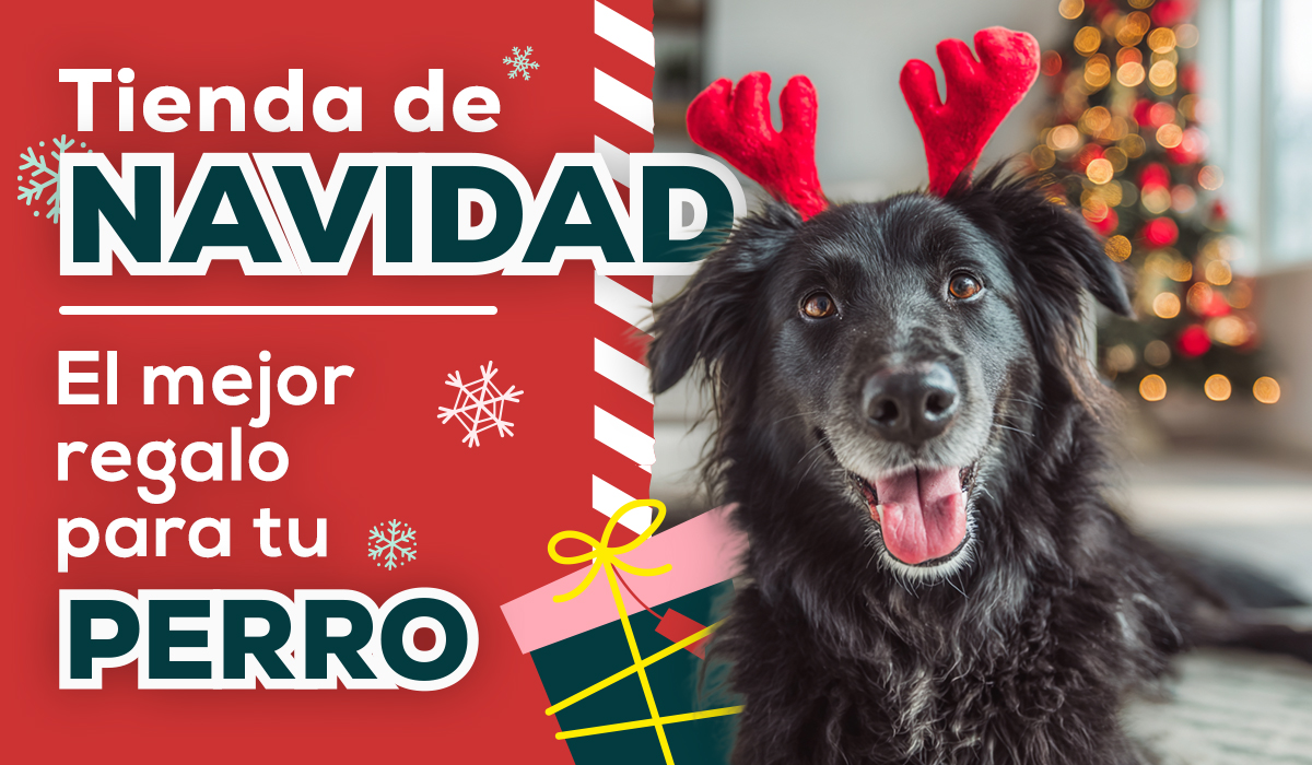 Tienda de Navidad