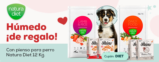 Día del Maestro medio litro Decaer Kiwoko Mundo Animal | Tienda de animales online