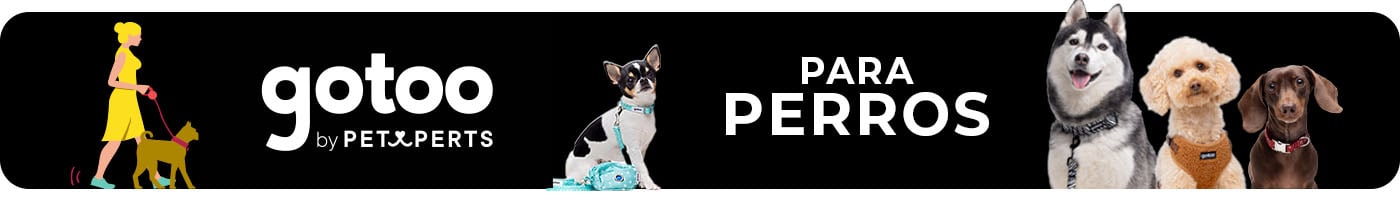 Gotoo para perro