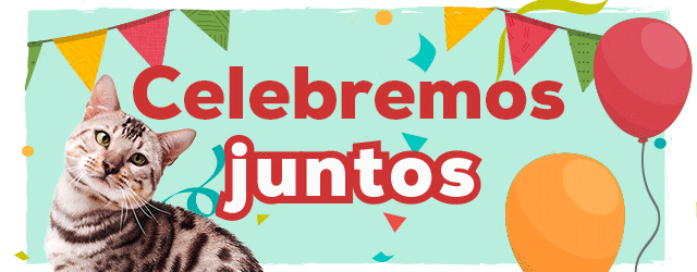19 Aniversario: Hasta -50% en selección de accesorios para gato