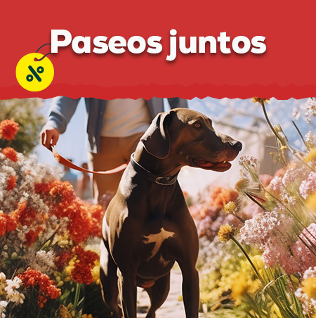 Ofertas de productos para paseo