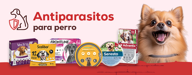 Antiparasitarios Perro