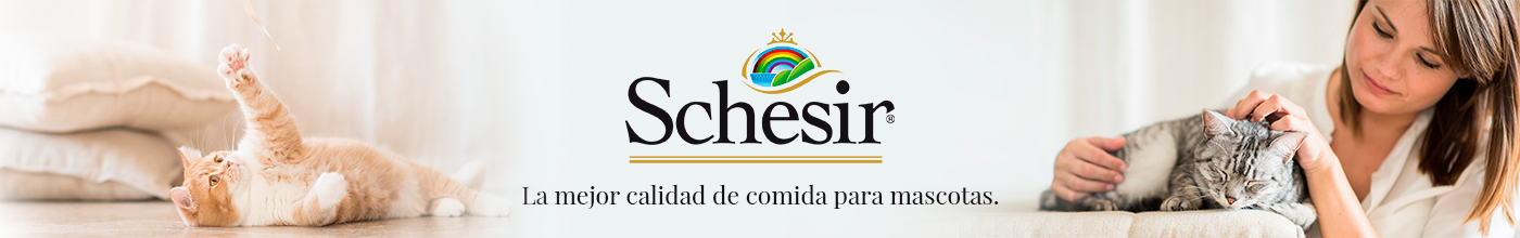 Schesir