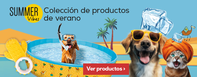 Summer Vibes: Disfruta de un buen chapuzón este verano
