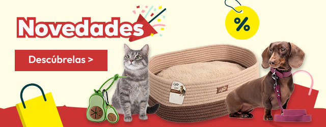 Descubre todas las novedadesth