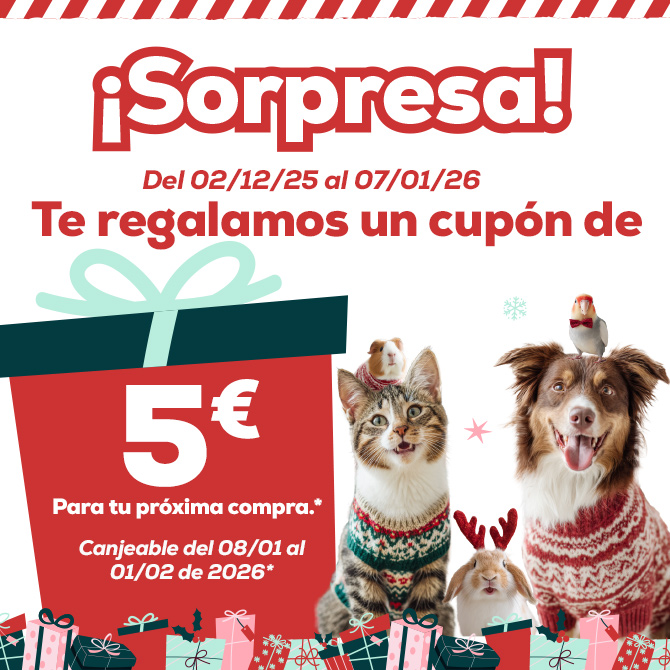 Compra durante el mes de diciembre y te regalamos -5€ pra tu próxima compra 