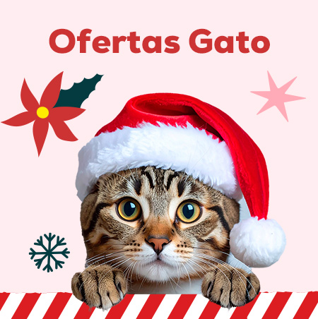 Ofertas para gato