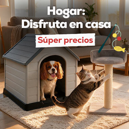 Disfruta en casa: Super precios