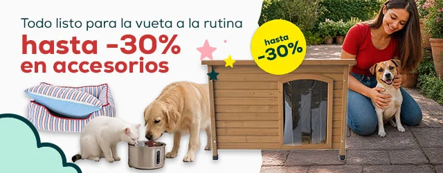 Todo listo para la vuelta a la rutina hasta -30% en accesorios