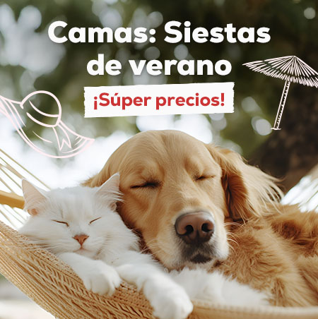 Siestas de verano: Súper precios en selección de camas
