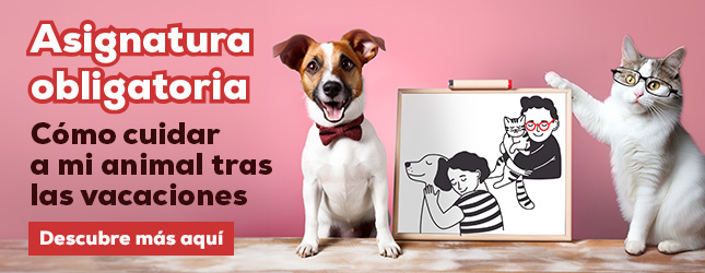 Como cuidar a mis animales tras las vacaciones