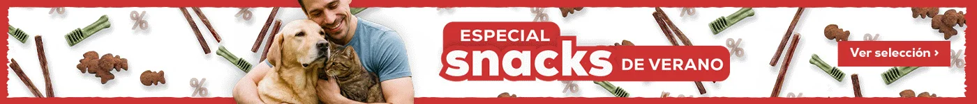 Elige su snacks favorito