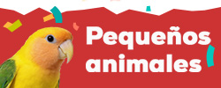 Descubre las marcas más animal lovers para pequeñas mascotas