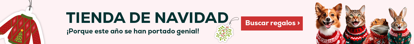 Tienda de Navidad