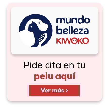 Mundo belleza. Servicio de peluquería para tu michi Mundo belleza. Servicio de peluquería para tu michi