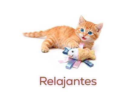 Relajantes para los primeros dias de adaptación al nuevo hogar 