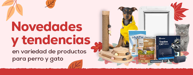 Descubre todas las novedades y tendencias de este otoño