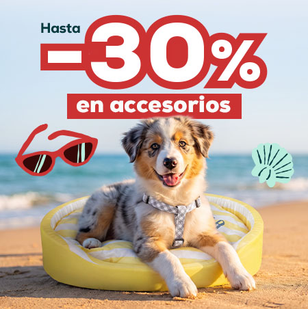 Vacaciones Mode ON: Los accesorios más refrecantes para el verano para perro