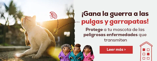 Gana la guerra a las pulgas y garrapatas