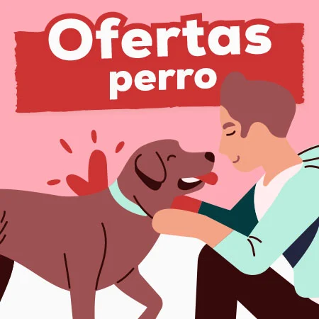 Ofertas para perro