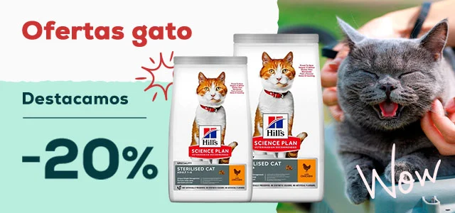 Hill's: -20% en selección de pienso para gato