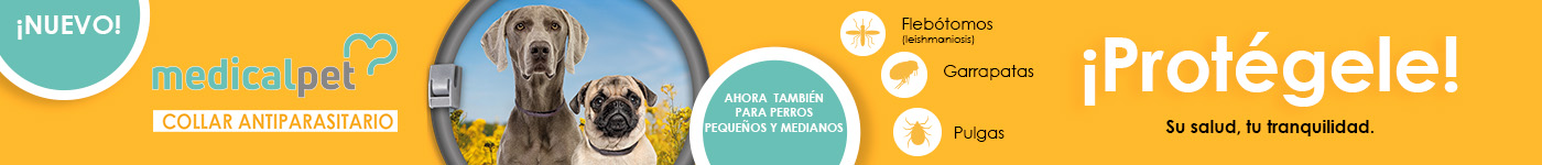 Collar Medicalpet: Descubre el nuevo collar antiparasitario para perros, eficaz contra pulgas, garrapatas y mosquito de la leishmaniosis