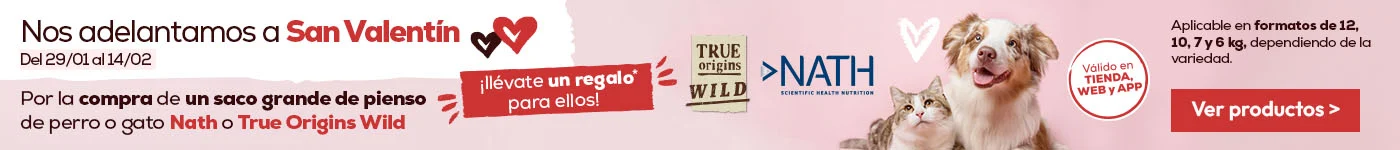 Regalo de juguete con todos los pedidos