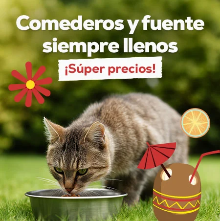 Súper precios en selección de comederos y fuentes