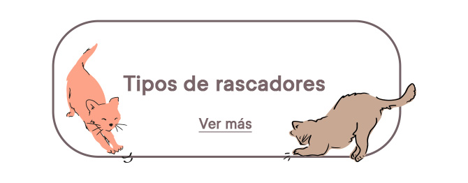 ¿Cómo elegir un rascador para tu gato?  tipos y opciones