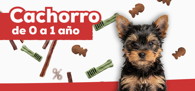 Snacks para cachorro de 0 a 1 año