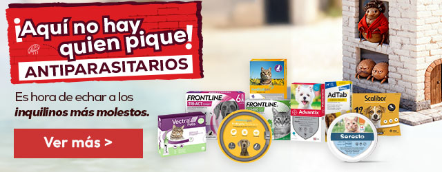 Antiparasitarios Perro: Es hora de protegerlos de las pulgas, garrapatas, flébotomos...