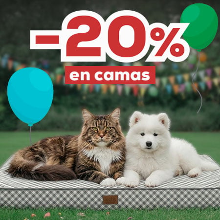 -20% en selección de camas