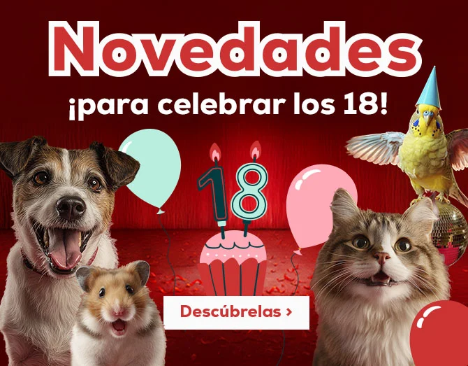 Descubres las mejores novedades de aniversario