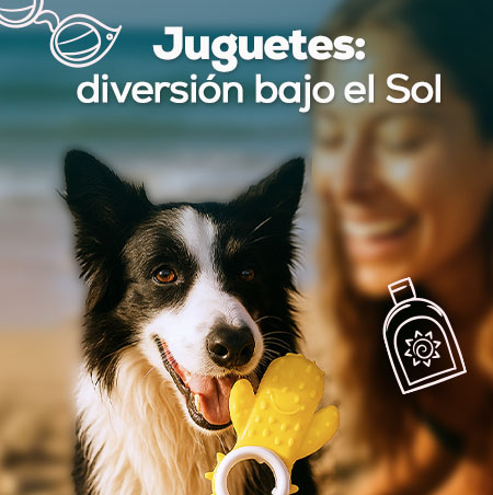 Juguetes: Diversión bajo el sol