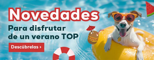 Descubre todas las novedades