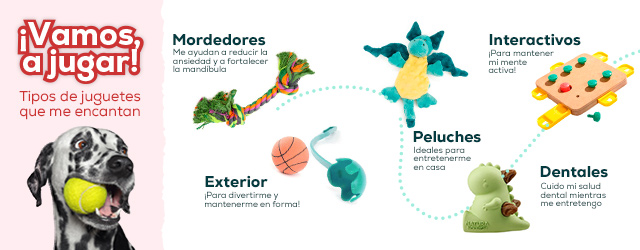 Educativo Juguetes