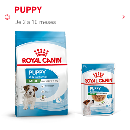 Pienso y comida húmeda para cachorros tamaño mini  de 2 a 10 meses Royal Canin Puppy Mini