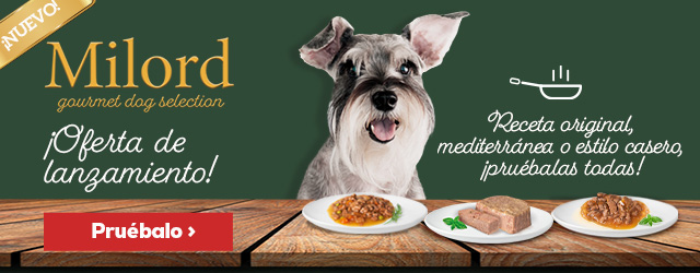 Milord - ¡oferta de lanzamiento! 6 tarrinas gratis comprando el pack de 12 o 16 unidades de comida húmeda para perro Milord