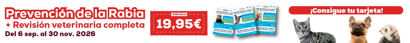 Prepara tu hogar para el otoño, hasta -30% en selección de accesorios