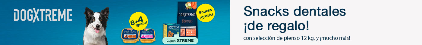 Dogxtreme: Regalo snacks dentales con pienso12 kg y 8 + 4 gratis en selección de packs de comida húmeda