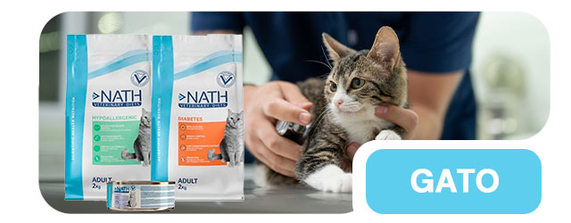 Dietas veterinarias especializadas para la salud de tu gato