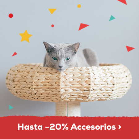 Hasta -20% en accesorios gato