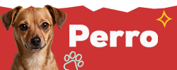 Descubre las marcas más animal lovers para perro
