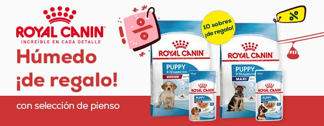 Royal Canin: Húmedo de regalo con selección de pienso para perro