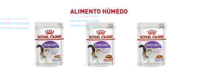 Royal Canin esterilizado. Encuentra la comida húmeda que mejor se adapta para tu gato esterilizado.
