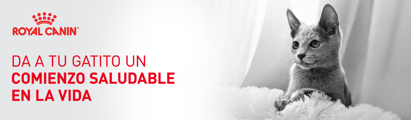 Da a tu gatito un inicio de vida saludable con Royal Canin